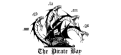 The Pirate Bay renaît déjà de ses cendres !