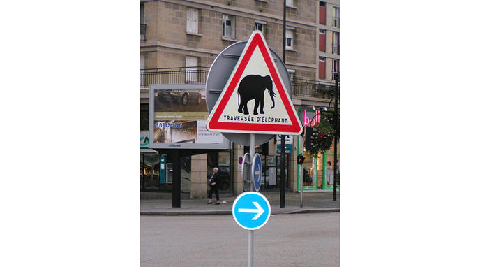 Panneaux insolites W_panneau-routier-insolite-elephant