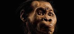 Homo Naledi : découverte incroyable de notre lointain ancêtre humain 