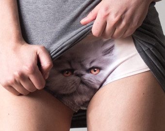 culotte chat 15