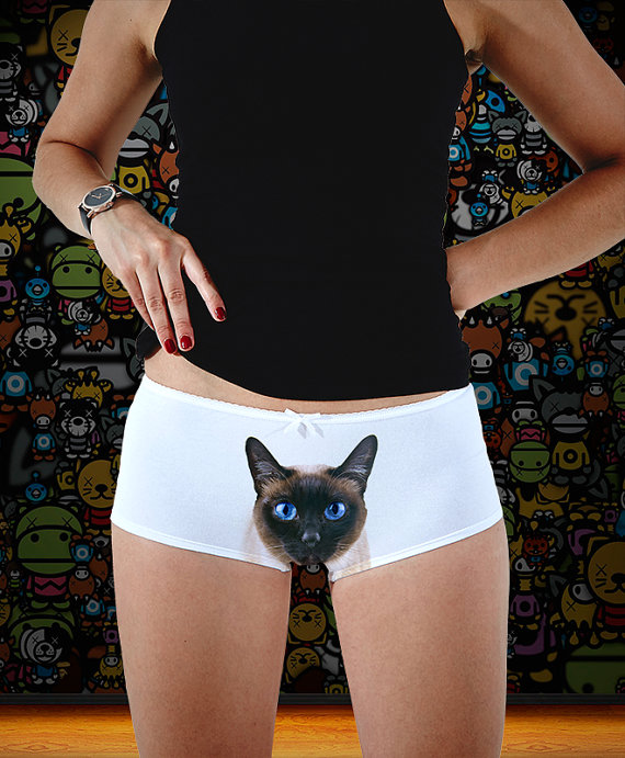 culotte chat 4