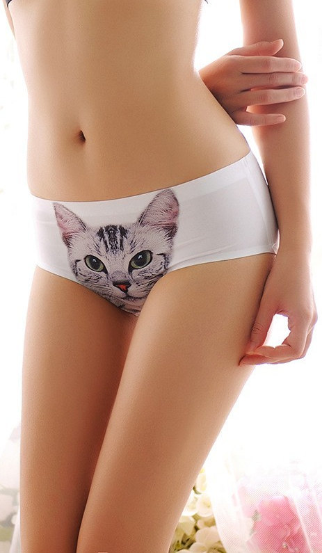 culotte chat 5