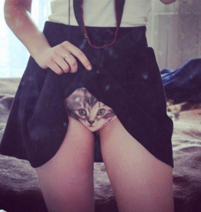 culotte chat 16
