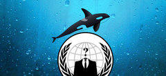 Anonymous pirate les sites du gouvernement islandais au nom des baleines 