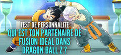 Test de personnalité : qui est ton partenaire de fusion idéal dans Dragon Ball Z ? 