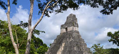 En observant les constellations, un ado de 15 ans découvre une cité maya en plein cœur de la jungle mexicaine !