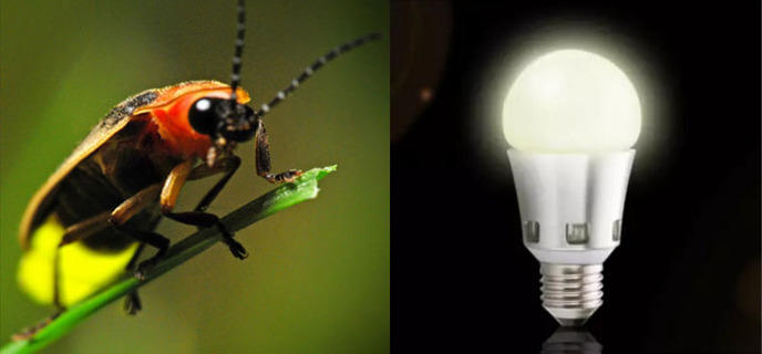 Des chercheurs ont créé la plus petite LED du monde