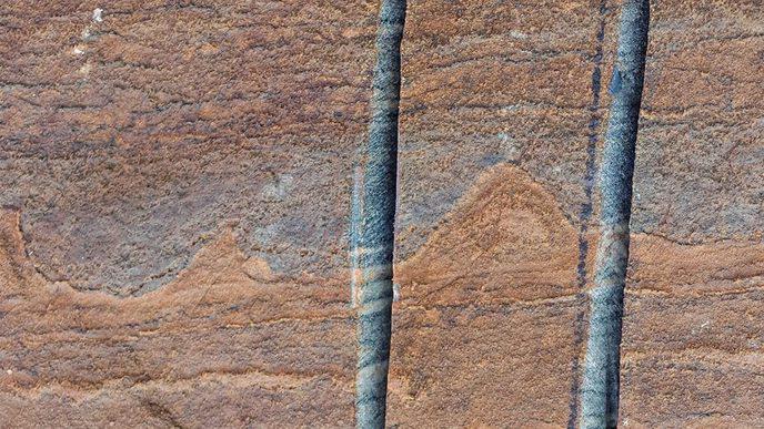 Géologues découvre plus vieux fossile sur terre