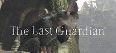 Et un nouveau report pour The Last Guardian, un !