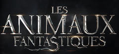 La suite des Animaux fantastiques dévoile une bonne nouvelle pour les fans français