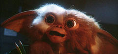 Gremlins 3 : Zach Galligan nous en dit plus sur le projet ! 