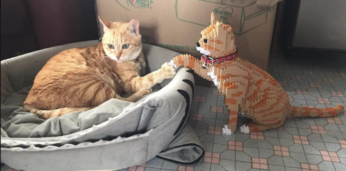 Des chats en LEGO pour ceux qui n'ont pas autant de chats qu'ils le  voudraient !
