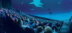 Les salles IMAX stoppent la diffusion des films en 3D