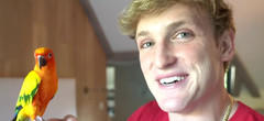 Logan Paul à nouveau au coeur d'une polémique après s'être amusé à taser des rats