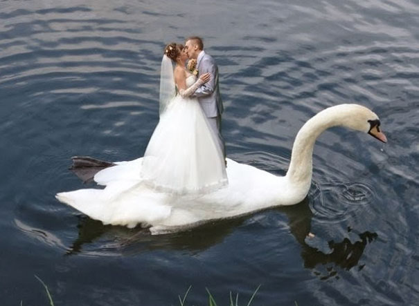 photos mariages russes WTF 31