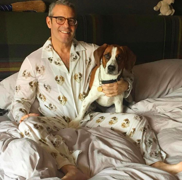 pyjama motif animal 