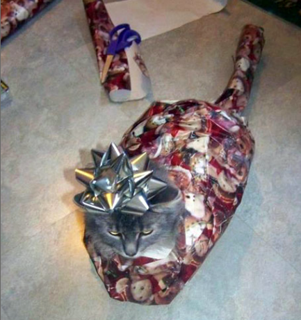 christmas epic fail 11