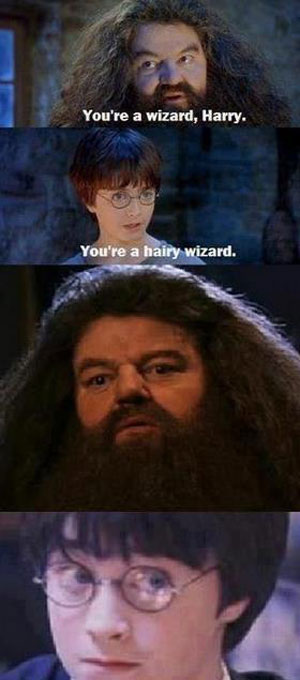 Meme Harry Potter
