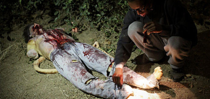 Film D Horreur Dans Une Grotte Passez une nuit digne d'un film d'horreur au Great Horror Campout