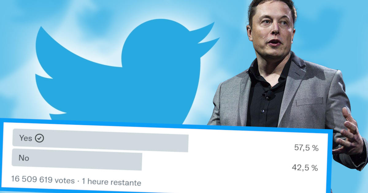 Elon Musk : le patron de Twitter lance ce sondage qui pourrait le pousser à prendre cette décision drastique