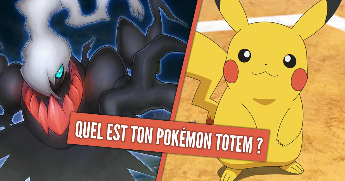 Pokémon - Peux-tu Attraper tous les Pokémon ?