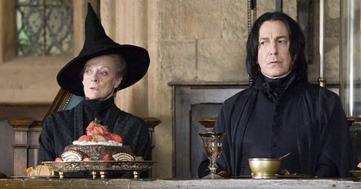 Harry Potter : officiel, HBO a trouvé son Severus Rogue et sa Minerva McGonagall