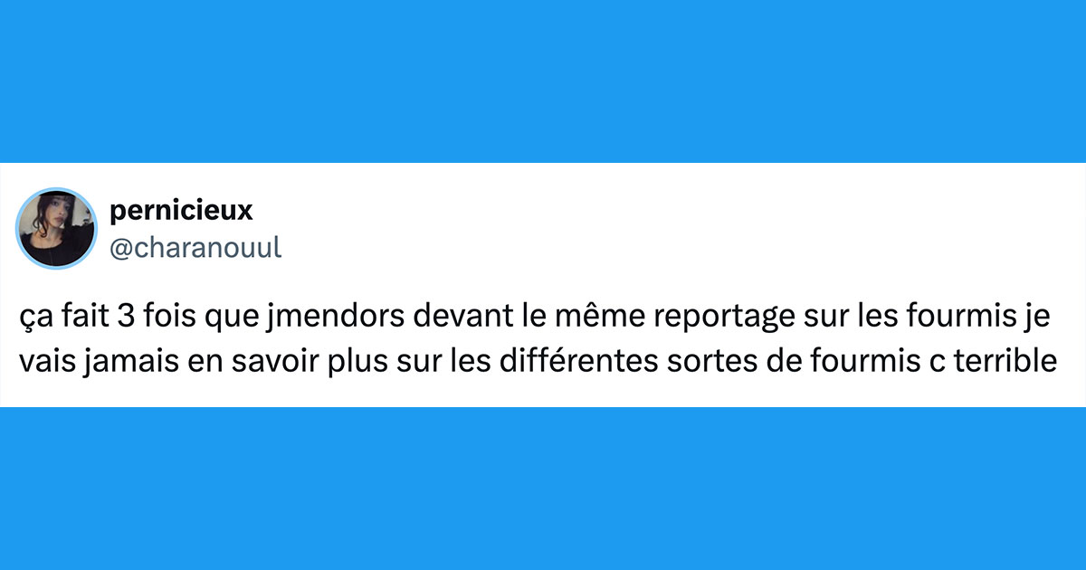 Top 15 des tweets les plus drôles de la semaine #506