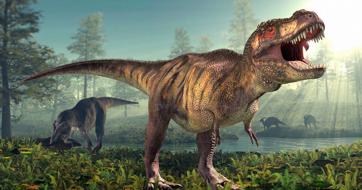 Dinosaures on sait enfin pourquoi le T Rex avait de si petits bras