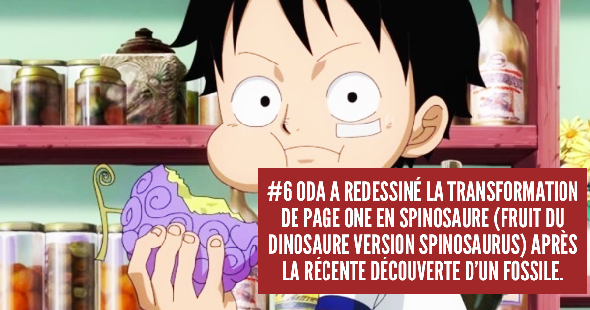 Les Fruit du Démon - One Piece