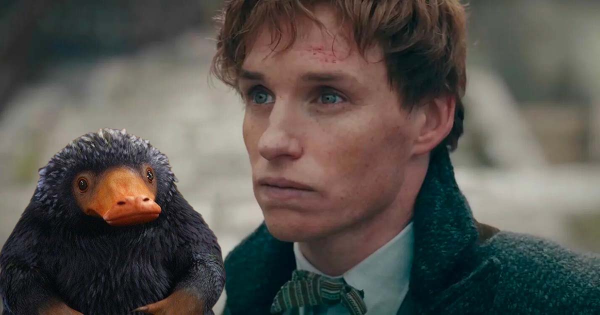 Les Animaux Fantastiques : Eddy Redmayne s