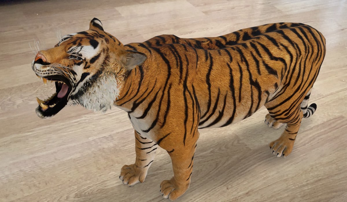 Réalité augmentée : Google propose des animaux 3D à taille réelle