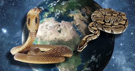  Réchauffement climatique : les phobiques des serpents vont faire une crise cardiaque