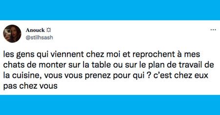 Le top 15 des tweets de la semaine #334