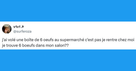 Top 15 des tweets les plus drôles de la semaine #477