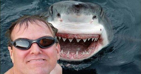 Les selfies sont plus dangereux pour l'homme que les requins