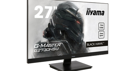 Baisse de prix sur l'écran gaming Iiyama G-Master Black Hawk