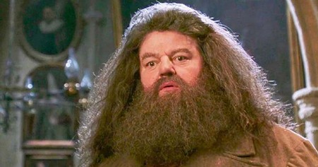 Harry Potter : les causes de la mort de Robbie Coltrane (Hagrid) viennent d'être dévoilées