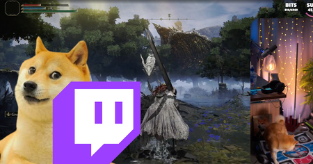 Elden Ring : en plein boss, cette steameuse Twitch sauvée par son chien (vidéo)