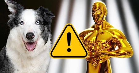 Oscars 2024 : ce chien serait une menace pour la cérémonie