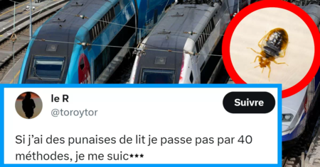 Les punaises de lit prolifèrent, mais Twitter réagit avec humour (23 tweets)