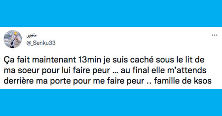 Le top 15 des tweets de la semaine #337