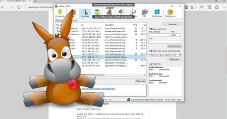 eMule : 2 mois de prison et 1800 euros d'amende pour avoir téléchargé 223 films