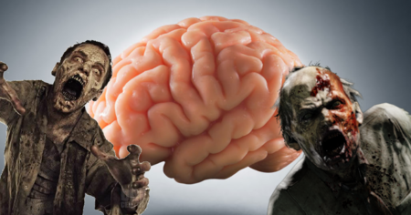 Après la mort, des gènes zombies découverts dans notre cerveau