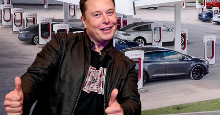 Elon Musk : après la bière Tesla, le milliardaire lance ce projet encore plus fou