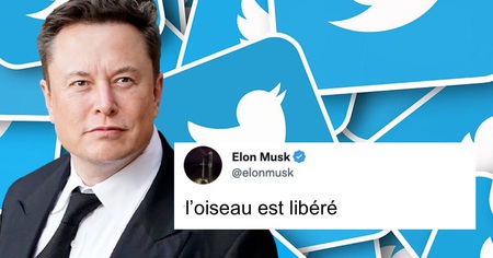 Twitter : c'est officiel, Elon Musk dirige le réseau social et fait le ménage