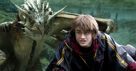 Harry Potter et la Coupe de feu : 10 éléments de la première tâche oubliés par le film