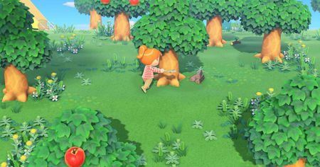 Animal Crossing New Horizons : une technique existe pour rendre vos outils incassables