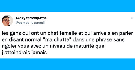 Le top 15 des tweets de la semaine #346