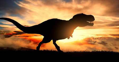 Dinosaures : cette découverte nous permet de mieux comprendre pourquoi les T. Rex avaient de si petits bras