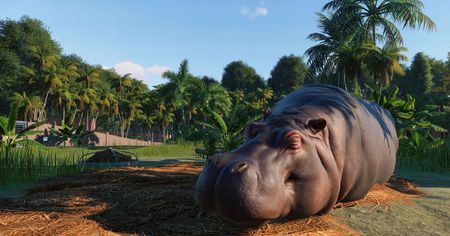 E3 2019 : un air nouveau souffle sur la gestion de parcs avec Planet Zoo